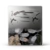 JUJUBON Interior French Door Slab Tempered Glass MDF-4