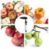 Apple Corer XZZWLL Stainless Steel Ergonomic Kitchen Tool-4