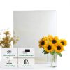 SMARTSTANDARD White Glass Pantry Door Modern Solid Core-2